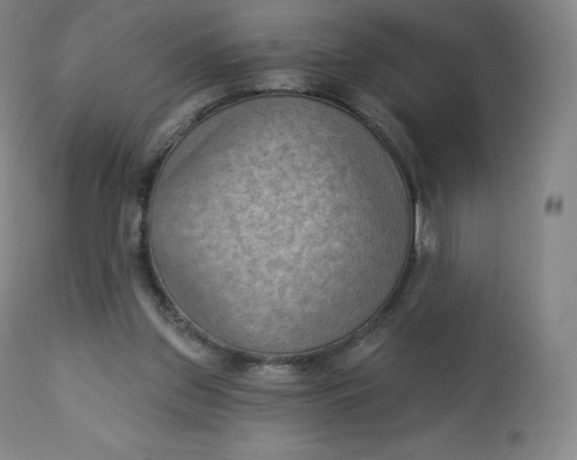 X0000112860157200909041602