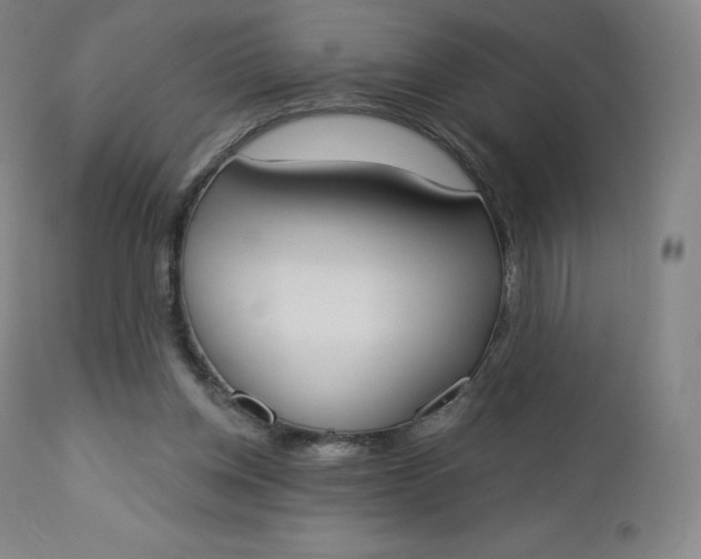 X0000112860158200909041602