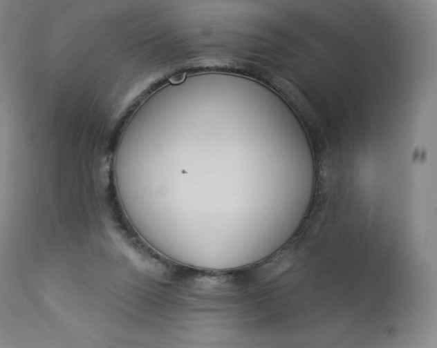 X0000112860160200909041602