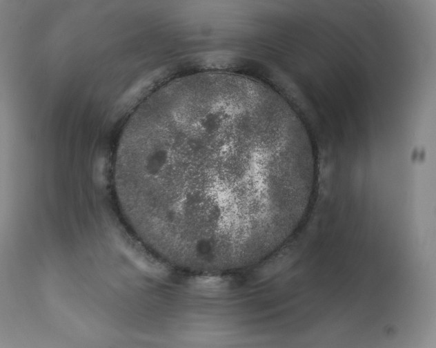 X0000112860161200909041602