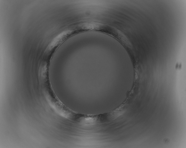 X0000112860163200909041602