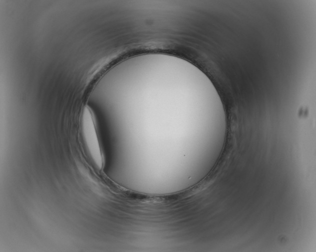 X0000112860164200909041602