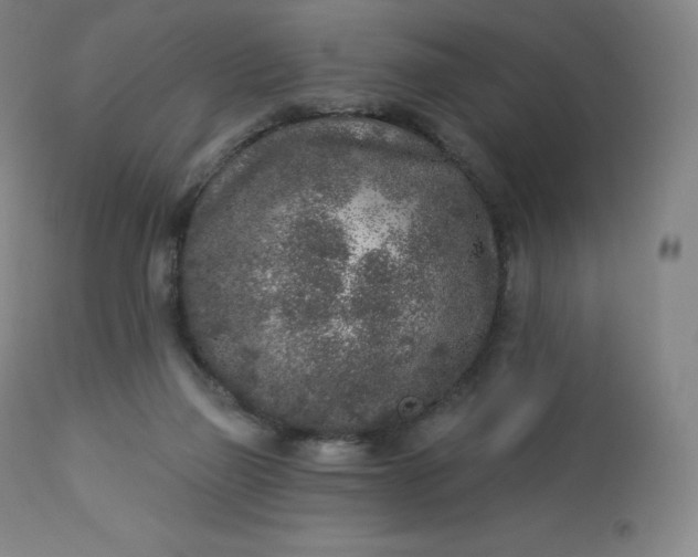 X0000112860165200909041602