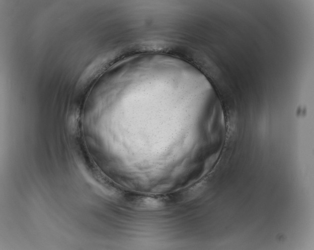 X0000112860166200909041602