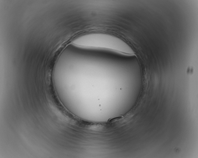 X0000112860168200909041602