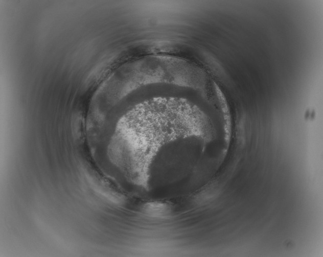 X0000112860169200909041602