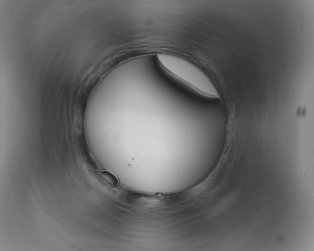 X0000112860170200909041602