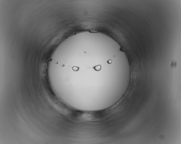 X0000112860171200909041602