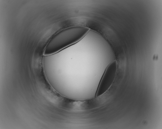 X0000112860172200909041602