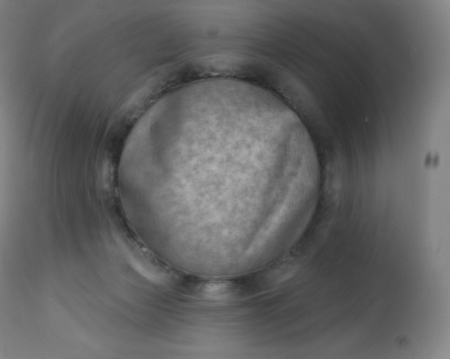 X0000112860173200909041602