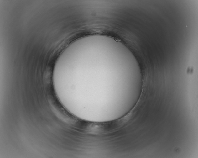 X0000112860174200909041602