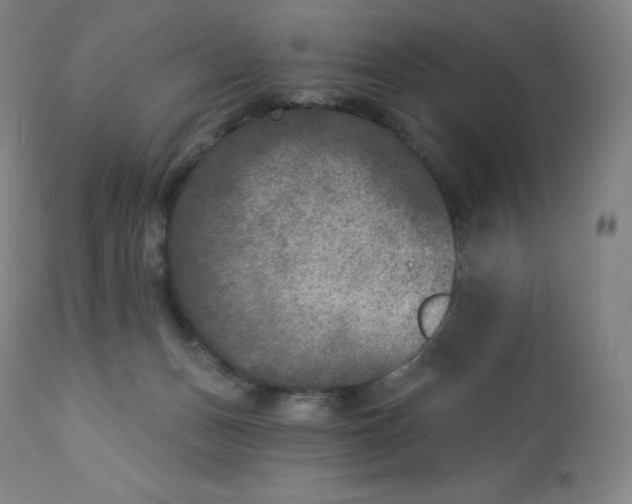 X0000112860175200909041602