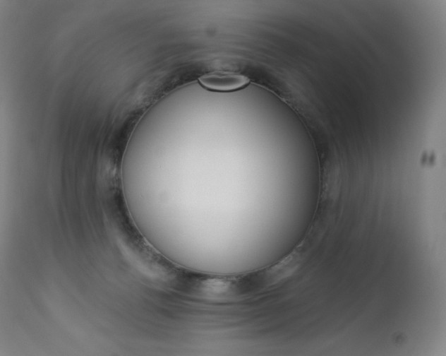 X0000112860176200909041602