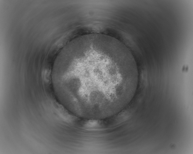 X0000112860177200909041602