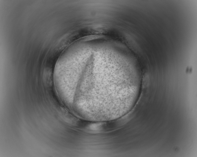 X0000112860178200909041602