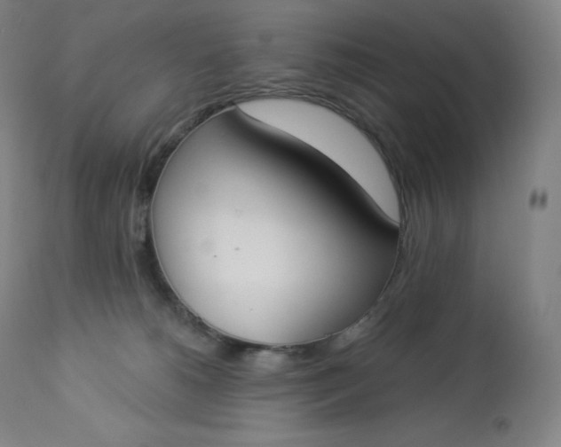 X0000112860180200909041602