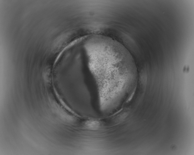 X0000112860181200909041602