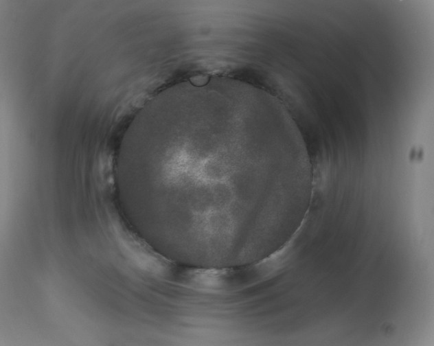 X0000112860182200909041602