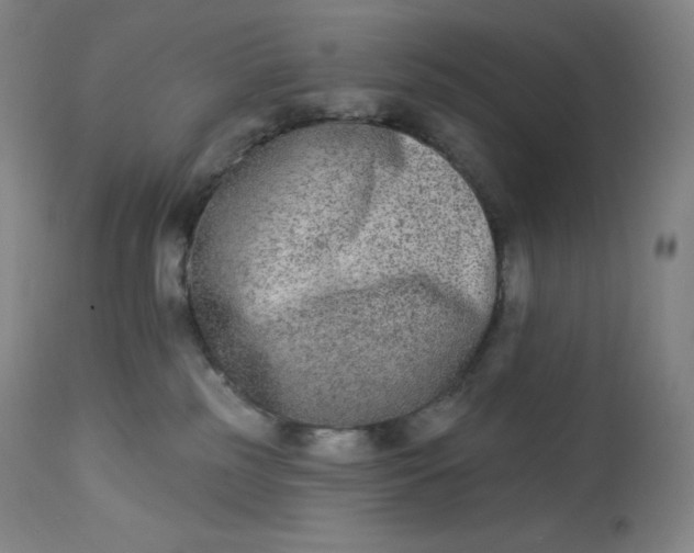 X0000112860185200909041602