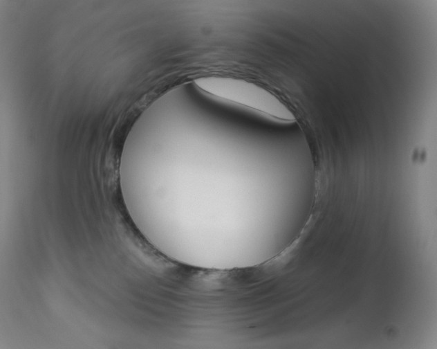 X0000112860186200909041602