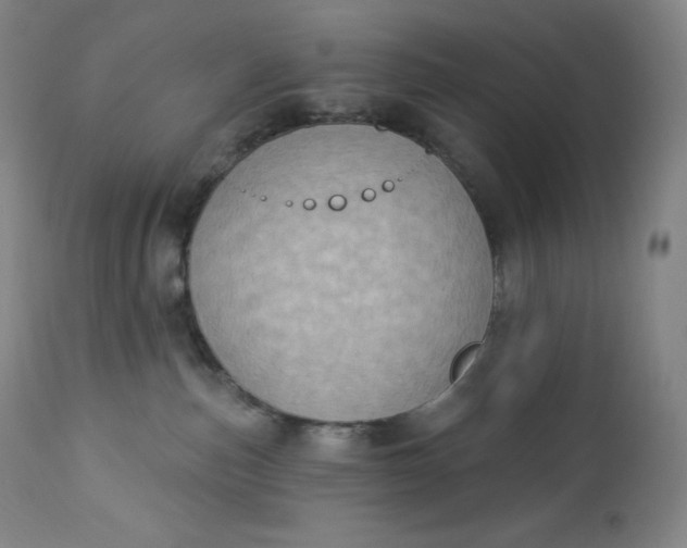 X0000112860187200909041602