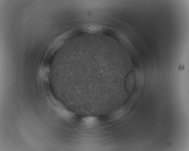 X0000112860189200909041602