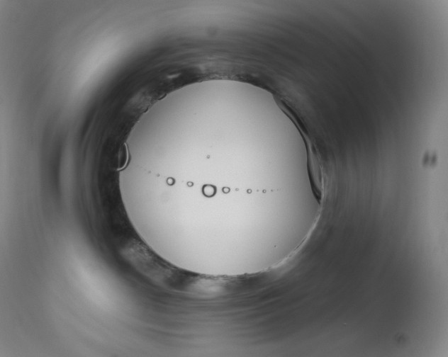 X0000112860190200909041602