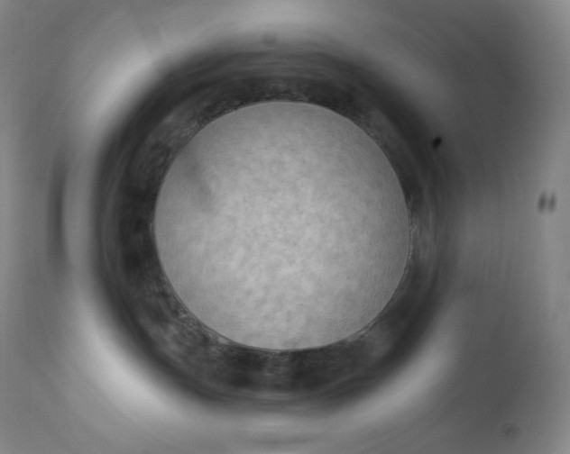 X0000112860191200909041602