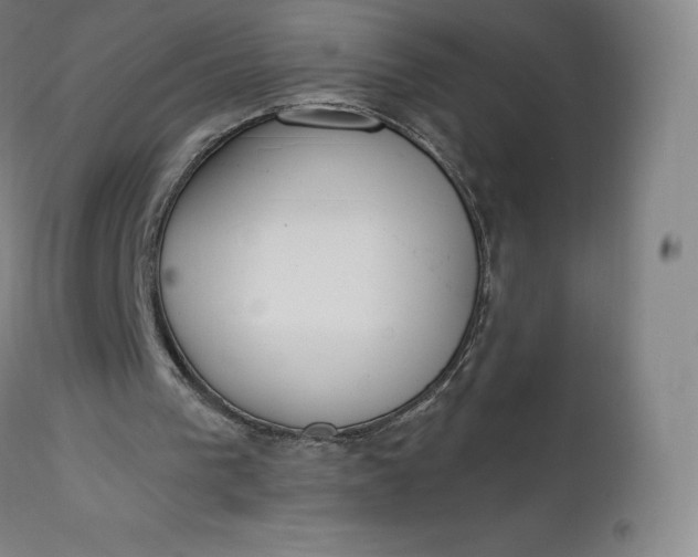 X0000112860193200909041601