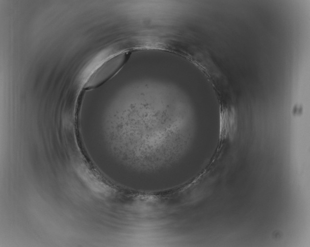 X0000112860195200909041601