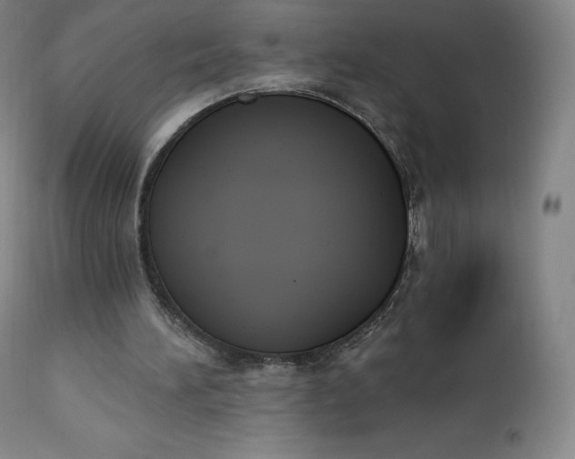 X0000112860196200909041601