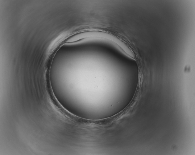 X0000112860197200909041601