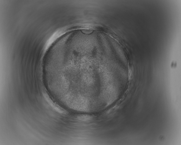 X0000112860198200909041601