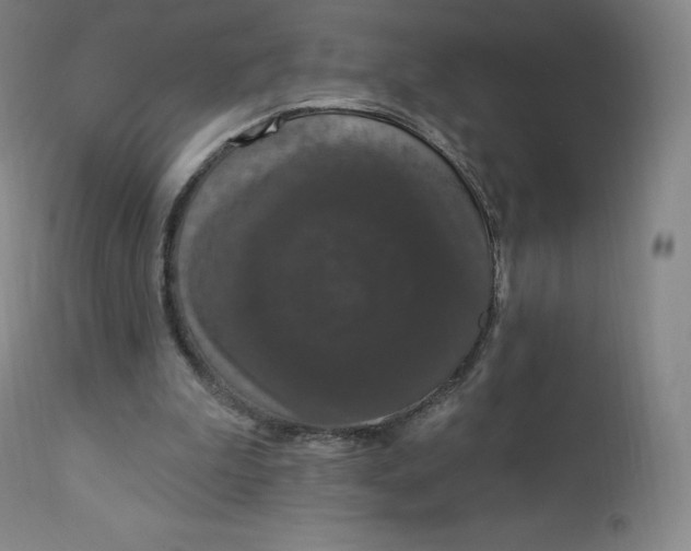 X0000112860199200909041601