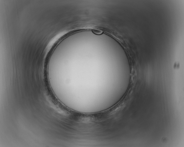 X0000112860200200909041601