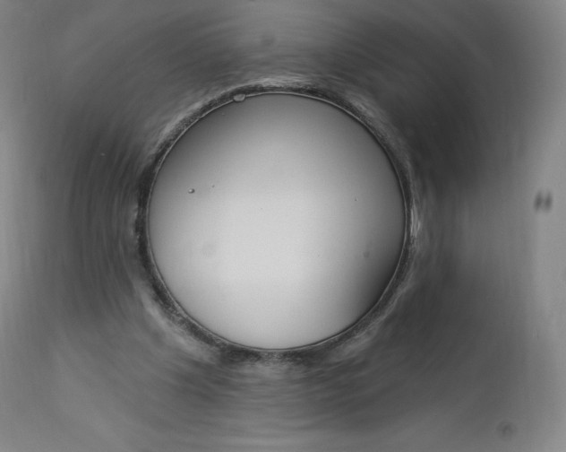 X0000112860201200909041601