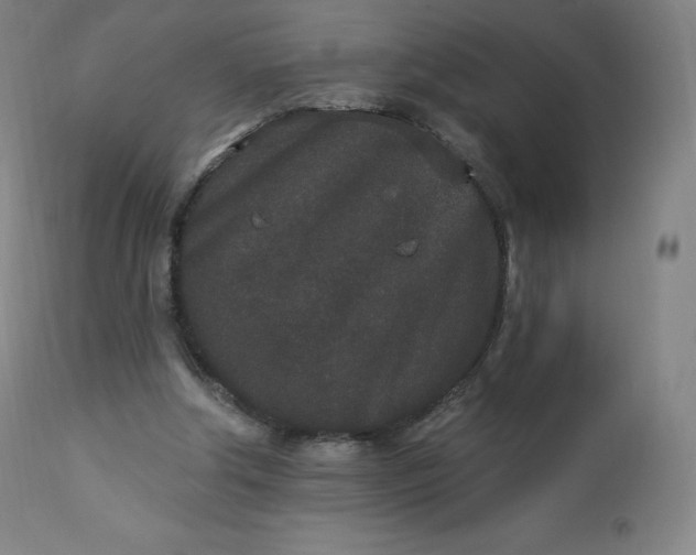 X0000112860202200909041601