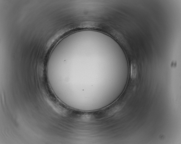 X0000112860204200909041601