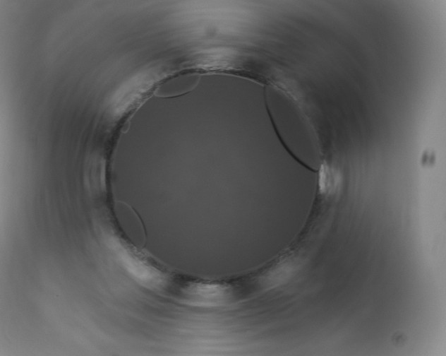 X0000112860205200909041601