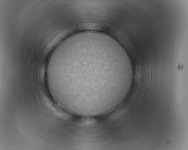 X0000112860206200909041601