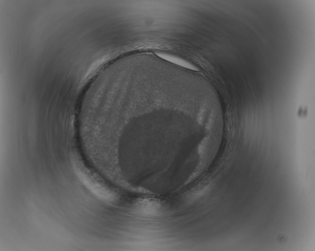 X0000112860207200909041601