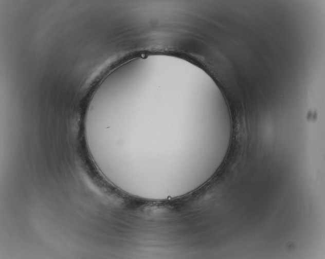 X0000112860208200909041601