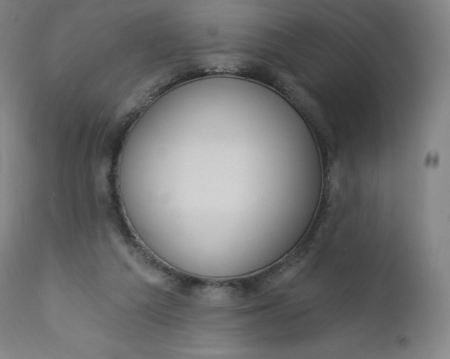 X0000112860209200909041601