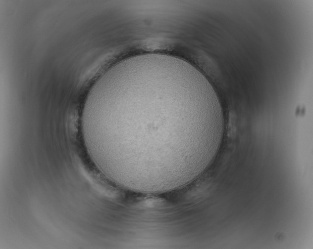 X0000112860210200909041601