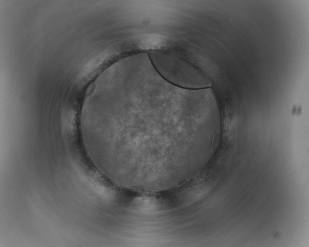 X0000112860211200909041601