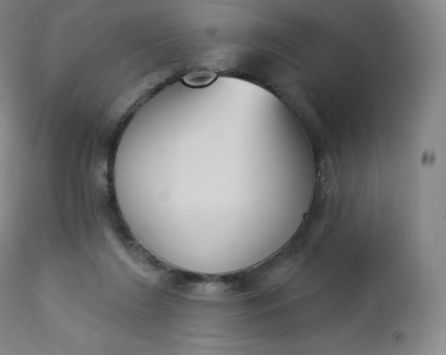 X0000112860212200909041601