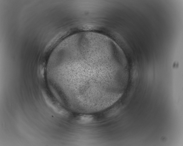 X0000112860214200909041601