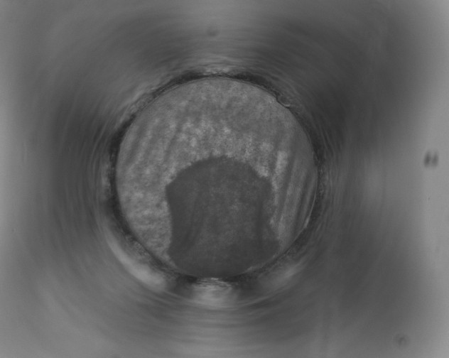 X0000112860215200909041601