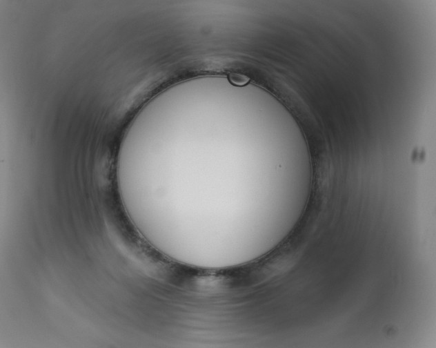 X0000112860216200909041601