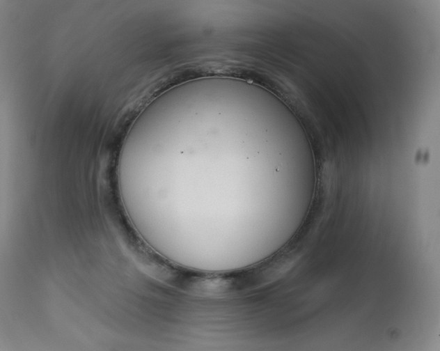 X0000112860217200909041601